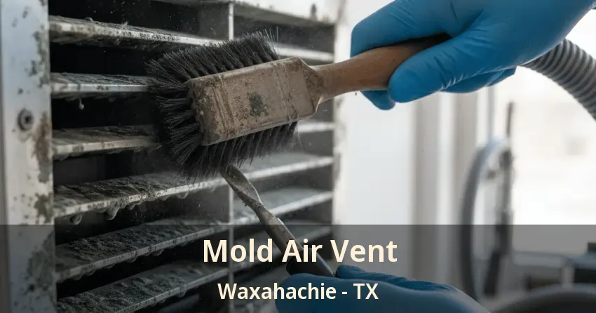 Mold Air Vent Waxahachie - TX