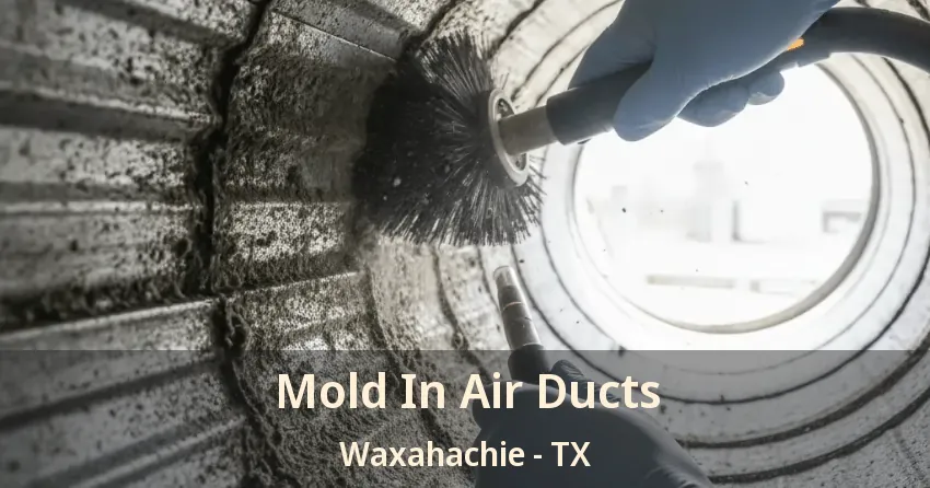 Mold In Air Ducts Waxahachie - TX