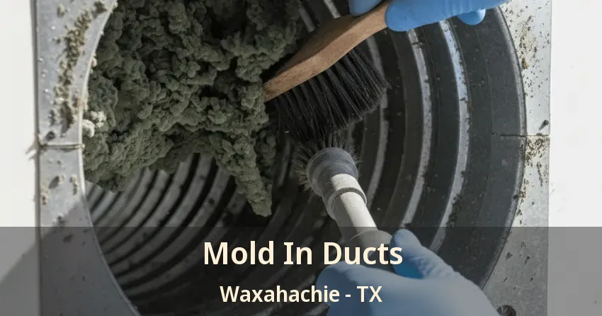 Mold In Ducts Waxahachie - TX