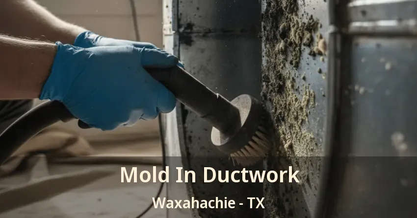 Mold In Ductwork Waxahachie - TX