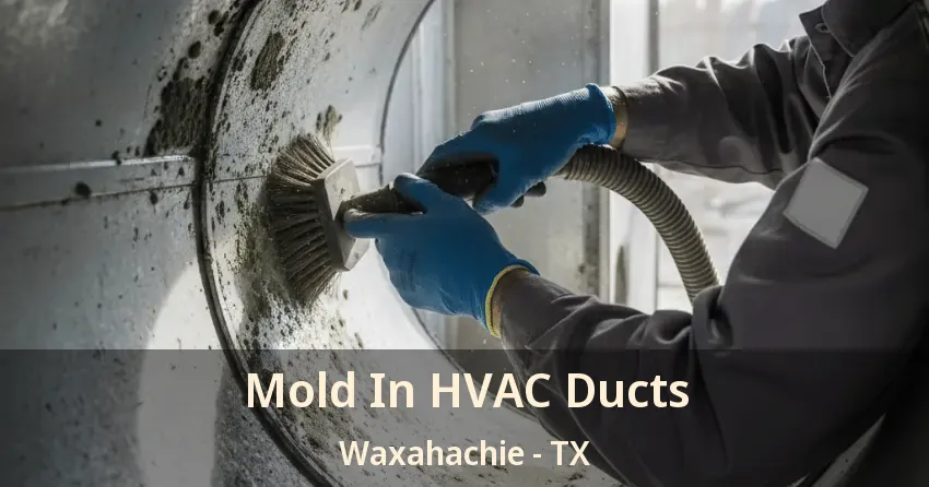 Mold In HVAC Ducts Waxahachie - TX Mold In HVAC Ducts Waxahachie - TX