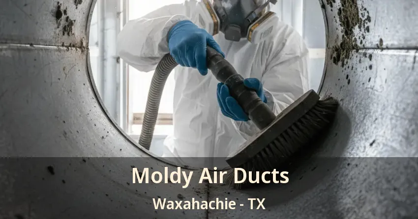 Moldy Air Ducts Waxahachie - TX